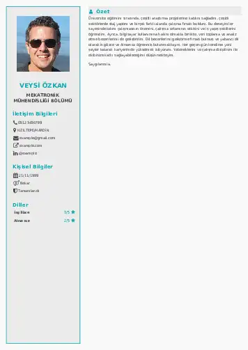 Mekatronik Mühendisliği Cv Örnekleri cv indir